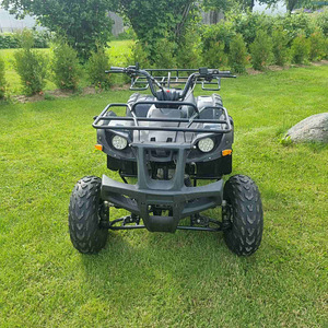 Atv 200cc (4 фото из 5)