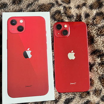 Apple13