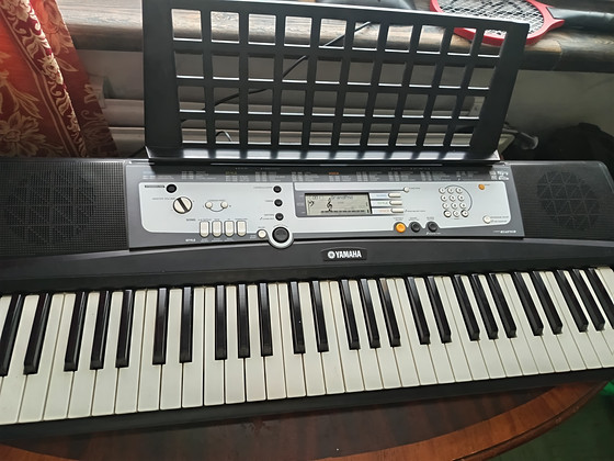 Yamaha E213