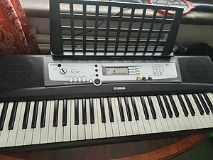 Yamaha E213 (1 фото из 1)
