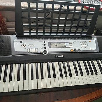 Yamaha E213