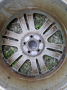 Veljed Volvo XC-le (2 foto / 3)