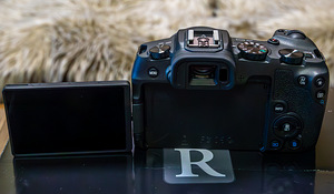 Canon EOS RP + Canon RF 28mm F2.8 STM (4 фото из 9)