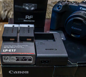 Canon EOS RP + Canon RF 28mm F2.8 STM (8 фото из 9)