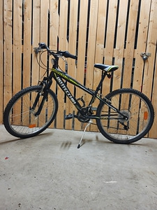 Mägijalgratas Bottecchia Adventure H 24" (9 foto / 9)