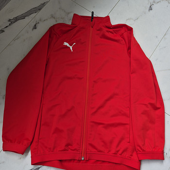 Puma pusa s. 164