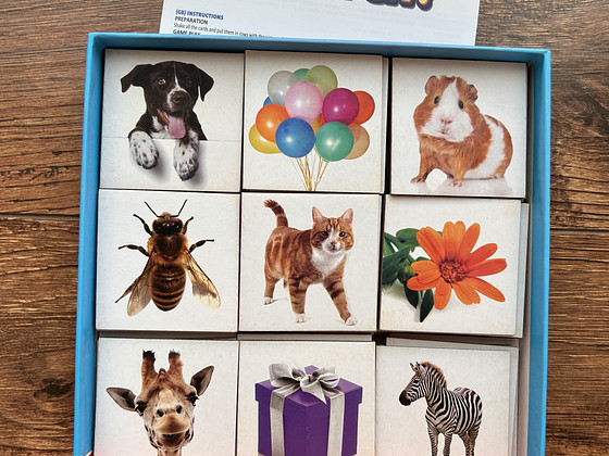 Lauamäng Find the Match! / Настольная игра Мемо