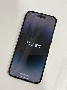iPhone 14 Pro Max (2 фото из 4)