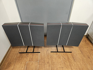 Bang & Olufsen Beovox RL 60 (1 foto / 3)