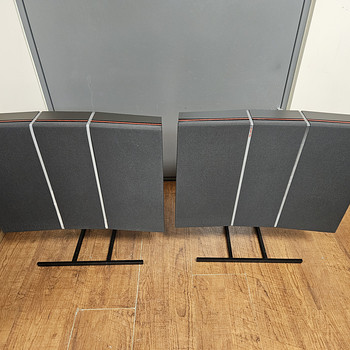 Bang & Olufsen Beovox RL 60
