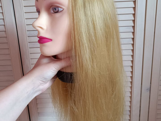Учебная голова