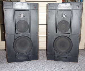 Колонки Radiotehnika S-50B (1 фото из 1)