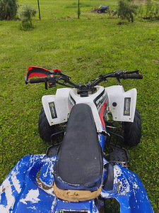 125cc квад под varuosadeks või taastamiseks (1 foto / 6)