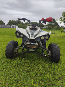125cc квад под varuosadeks või taastamiseks (6 foto / 6)
