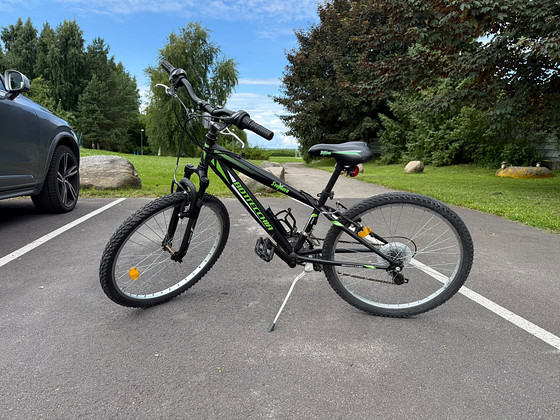 Lastejalgratas Bottecchia Staride