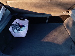 Ford Focus (8 фото из 12)