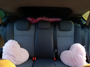 Ford Focus (6 фото из 12)