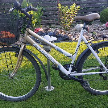 Jalgratas CLASSIC ledi sport