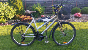 Jalgratas CLASSIC ledi sport (2 foto / 3)