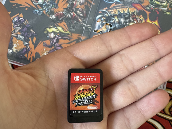 Игра на Nintendo Switch