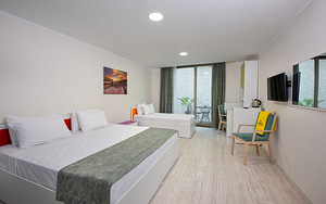 CITRUS PARK HOTEL (10 foto / 10)