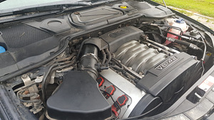 На запчасти Audi A8 D3 4.2 V8 246kW (BFM) 2003 (5 фото из 9)