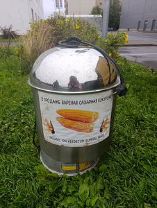 Maisikeetja (3 foto / 3)