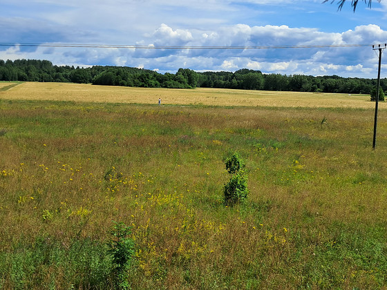 Metsa, Laugu, Saaremaa vald, Saaremaa