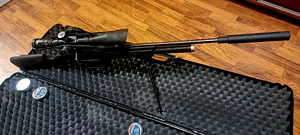 Пневматическая винтовка Walther Dominator 1250 PRO 28J (6 фото из 10)