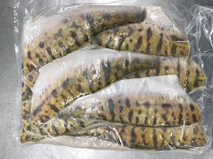 Koha filee jahutatud, külmutatud Peipsi järvelt (4 foto / 10)