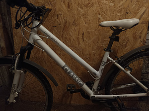 Lady Sport Classic jalgrattas (4 foto / 4)