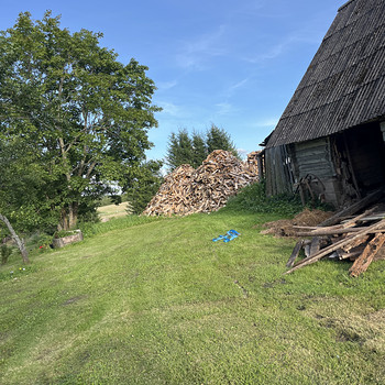 Müüa küttepuud