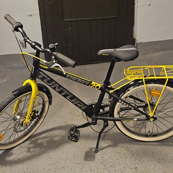 Laste jalgratas Tunturi Energy 20"