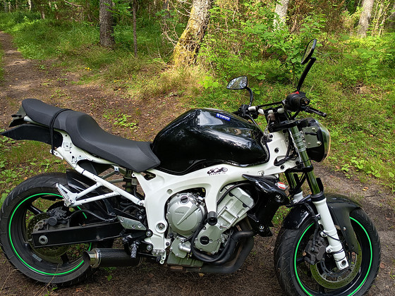 Yamaha fz6