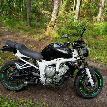 Yamaha fz6