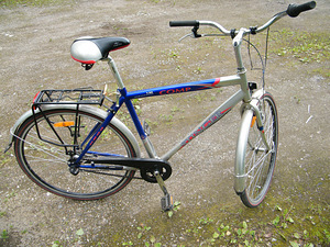 3-käiguline jalgratas stinger (3 foto / 4)