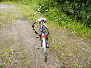 3-käiguline jalgratas stinger (4 foto / 4)