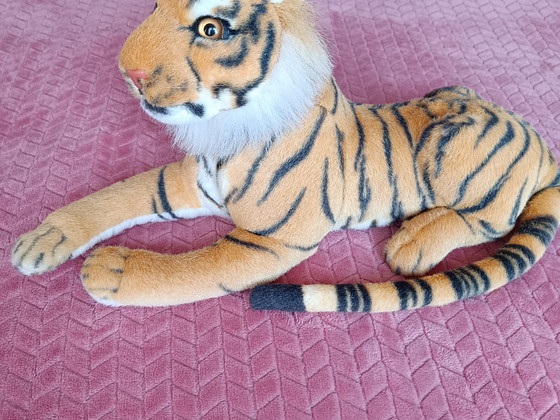 Тигр