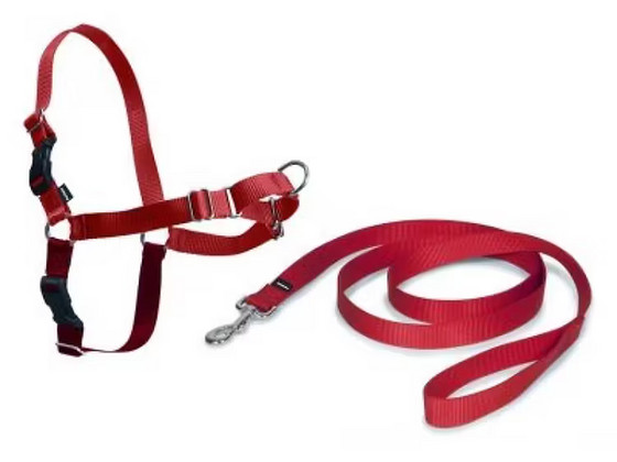 EasyWalk tirimisvastased jalutustraksid koertele suurus M