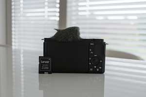 Sony ZV-E10 (5 фото из 5)
