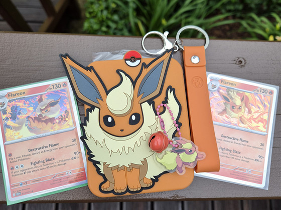 Pokémoni hoidja kaartidele, kaardid ja võtmehoidja komplekt.