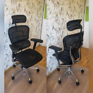 Ergonoomiline tool Ergohuman Plus v2 Elite (1 foto / 6)