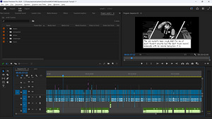 Videomonteerija (Video editor) (1 foto / 2)