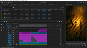 Videomonteerija (Video editor) (2 foto / 2)