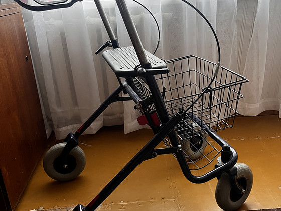 Müüa rulaator