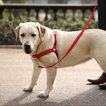 EasyWalk tirimisvastased jalutustraksid koertele suurus L