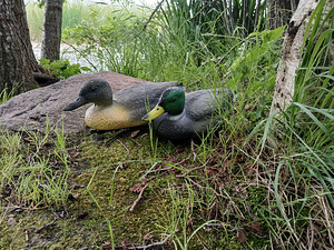 TÄISTOPITUD PARDID UUED (4 foto / 4)