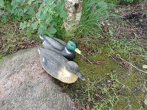 TÄISTOPITUD PARDID UUED (3 foto / 4)