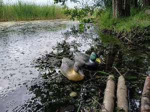 TÄISTOPITUD PARDID UUED (2 foto / 4)