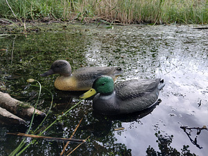 TÄISTOPITUD PARDID UUED (1 foto / 4)